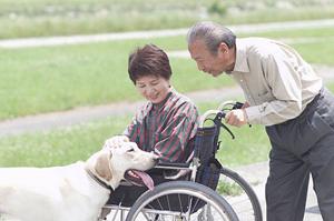 世田谷で評判の皮膚科による確実なシミ取り治療法を徹底解説