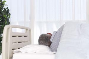 西宮で評判の内視鏡検査を徹底解説！2025年最新ガイド