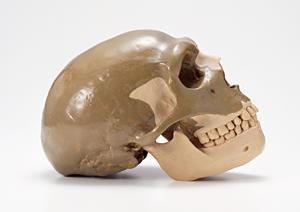 宇都宮でできる！短期間で効果を実感できるホワイトニング方法完全ガイド