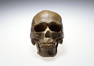 高崎の婦人科を徹底解説！2025年最新情報と選び方ガイド