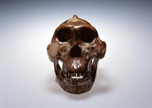 新宿のサラリーマンにおすすめの内科