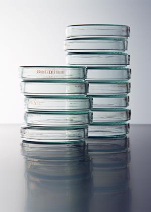 介護福祉士求人を行っている社会福祉法人