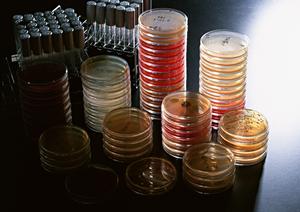 南青山で歯科矯正を検討しているなら